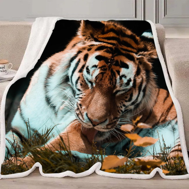 Cute Tiger Blanket