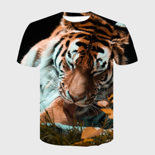 Cute Tiger T-Shirt