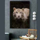 White Tiger Painting Art