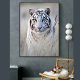 White Tiger Painting Art