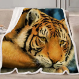 Anime Tiger Blanket