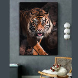 Funny Tiger Painting Art