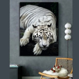 White Tiger Painting Art