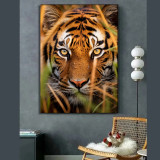 Tiger Head Painting Art