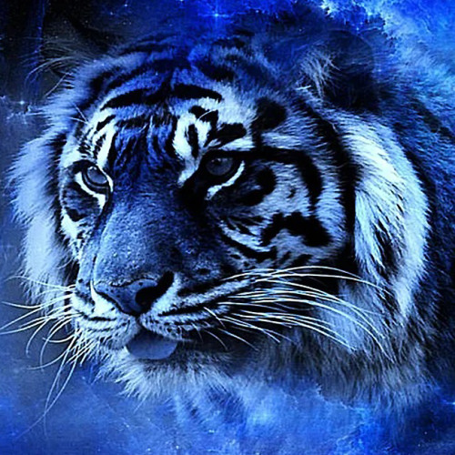 Blue Tiger Painting Art