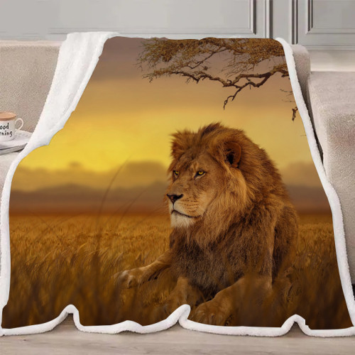 African Lion Blanket