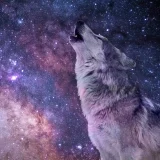 Wolf Galaxy T-Shirt