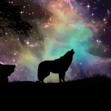 Wolf Galaxy T-Shirt