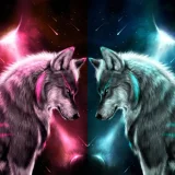 Galaxy Double Wolf Galaxy