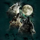 Three Wolf Moon Hoodie