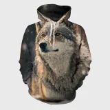 Snow Wolf Hoodie