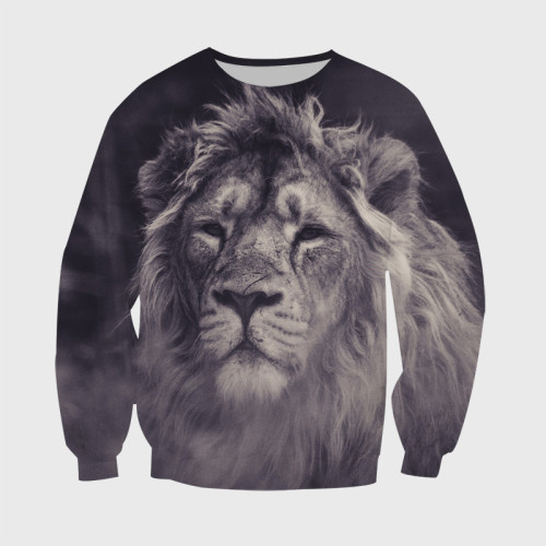 Casual Lion Hoodie