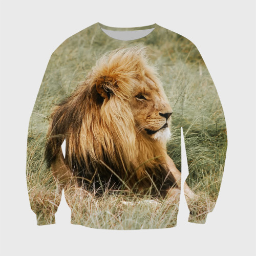 African Lion Hoodie