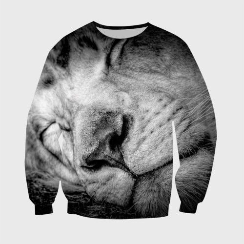 Sleeping Lion Hoodie