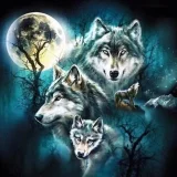 Three Wolves Moon Hoodie