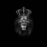 Lion With Crown Hoodie