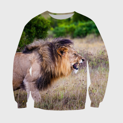 Lion Roar Hoodie