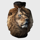 Lion King Hoodie