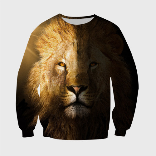 Yin Yang Lion Hoodie