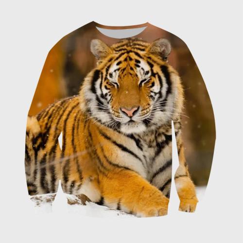 Cute Tiger Hoodie