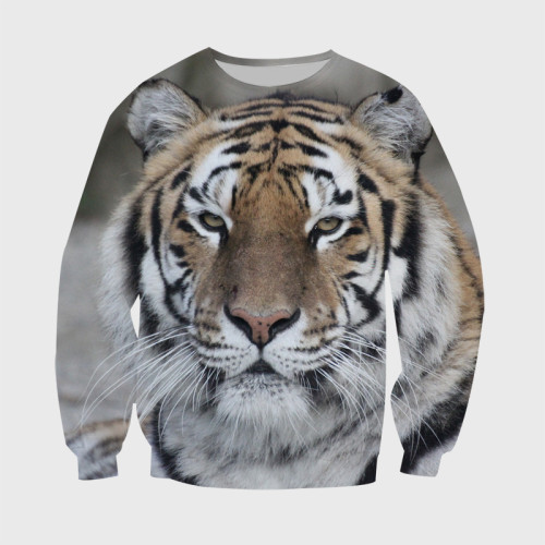 Tiger Face Hoodie