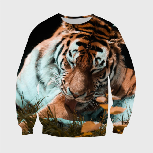 Cute Tiger Hoodie