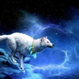 Galaxy Wolf Hoodie