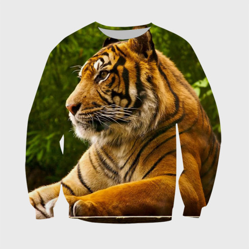 Sitting Bengal Tiger Hoodie