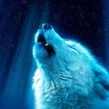 Galaxy Howling Wolf Hoodie