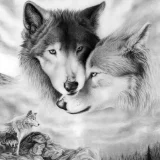 Wolf Couples Hoodie