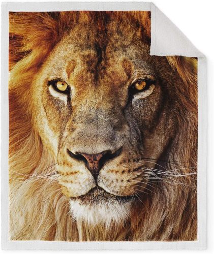 3D Lion Print Blanket
