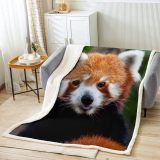 Animal Red Panda Blanket