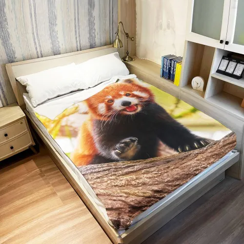 Animal Red Panda Print Blanket