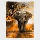 Wild Elephant Throw Blanket