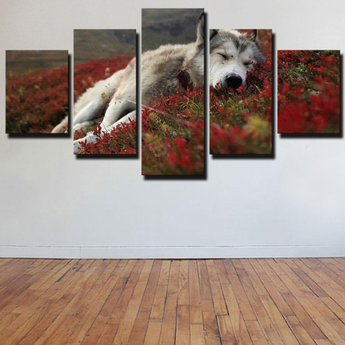 Sleeping Wolf Canvas Painting