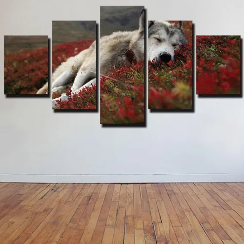 Sleeping Wolf Canvas Painting