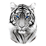 Tiger Face Tattoo