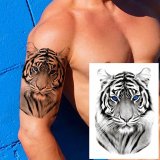 Tiger Face Tattoo
