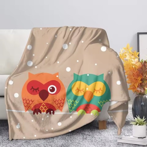 Cartoon Owl Couples Blanket