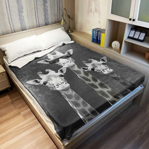 Soft Wild Giraffes Print Blanket