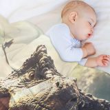 T-Rex Dinosaur Print Flannel Blanket
