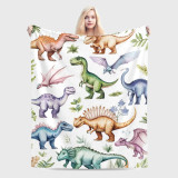 Boys Cartoon Dinosaurs Pattern Blanket