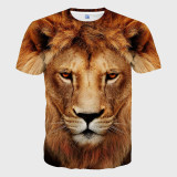 Novelty Lion Graphic T-Shirt
