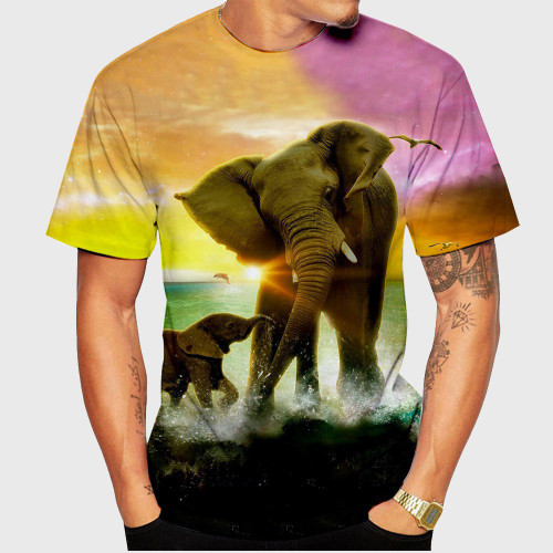 Mom And Baby Elephant Graphic T-Shirt