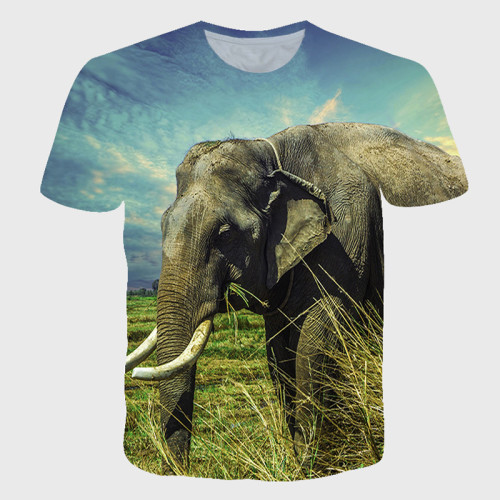 Wildlife Elephant Print T-Shirt