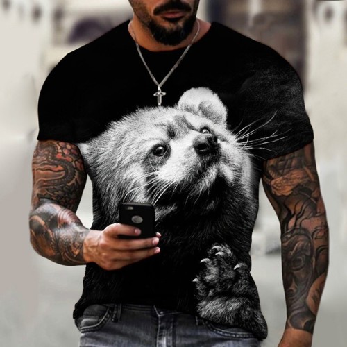 Cute Red Panda Graphic T-Shirt