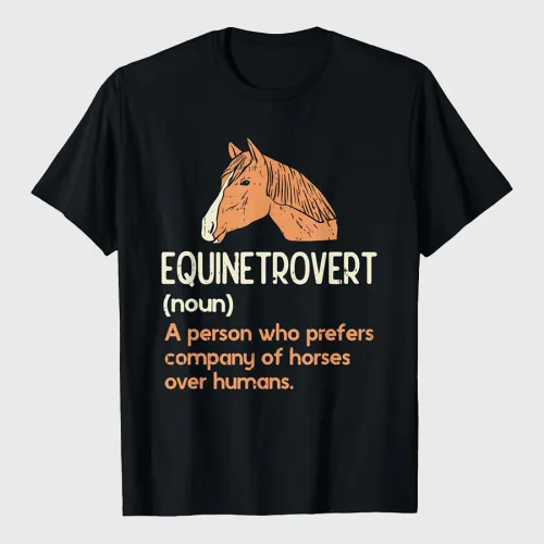 Fun Horse Lover Humor Funny Horse Definition T-Shirt