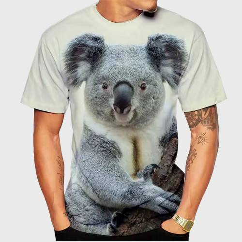 Cute Koala Graphic T-Shirt