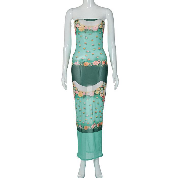 Women's mesh sheer print temperament slim tube top dress