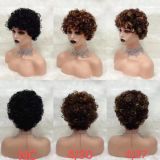 Short curly wig 17